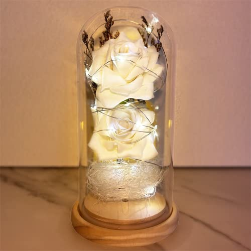 Rosa Stabilizzata Eterna in Vetro, Fiori Artificiali Realistici, Regalo per Donna Anniversario, Fidanzata,Festa della Mamma,Bella e la Bestia,Fiore Infinita Immortale,Regali Lei Amica Mamma Idea Donne