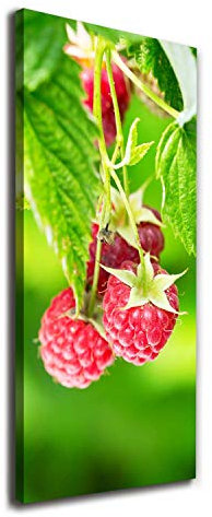 Tulup - Framed Canvas Print - 50x125 cm - Wall Art - Art print Images - Picture - Home Decor Interior - Painting - for Living Room Bedroom, Kitchen - Red - Raspberries on the bush