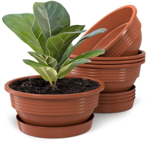 Plastard 5er Set Pflanzenschalen Ø 40 cm mit Untersetzer rund – Terrakotta | Witterungs-, UV- & frostbeständig, inkl. 30 cm Untersetzer, ideal für Garten, Balkon & Innenbereiche, Deko Blumenschale