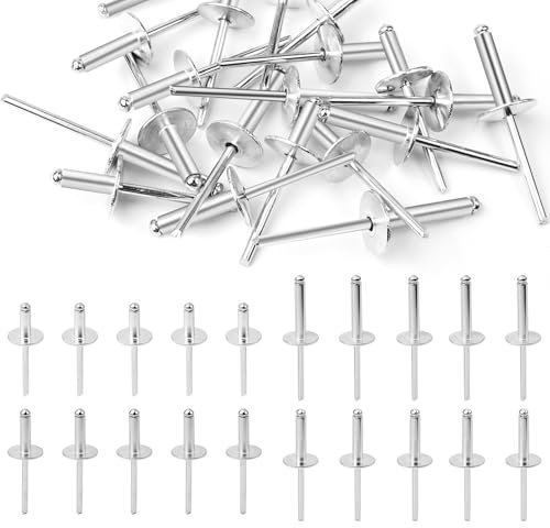 YFLeomry 125 Pièces Rivets Aveugles en Aluminium Avec Grande Tête 4,8 x 25 mm Rivet Pop, Rivets Pop à Tête Plate pour Métal, Bois, Plastique(Argent)