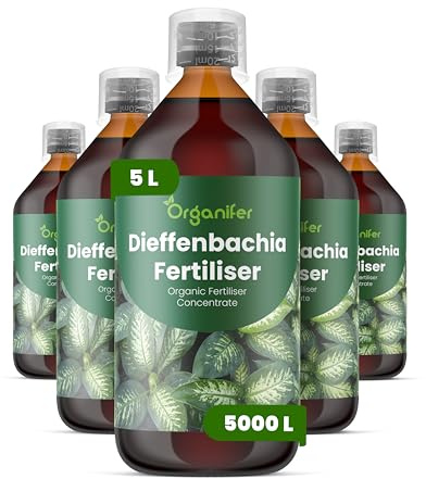 Organifer Dieffenbachia Flüssigdünger, 5L, Organisch, für Gesunde Blätter und Wurzeln, Zimmerpflanzen