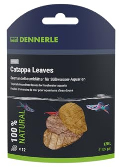 Dennerle Nano Catappa Leaves - natüliche Wasserpflege und Nahrungsergänzung fürs Aquarium | Natürlich, Nahrungsergänzung
