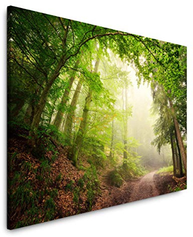 Paul Sinus Art Wald mit Waldweg 150 x 100 cm Inspirierende Fotokunst in Museums-Qualität für Ihr Zuhause als Wandbild auf Leinwand in XXL Format