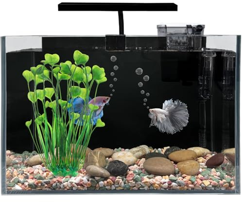 HEURYTEP Betta Fish Tank, 2.5 Gallon Nano Nature Aquarium Starter Kit, Ultra-Clear Rimless Desktop Fish Tank with Light, Filter, Gravel and Rock, Aquarium Perfect for Small Fishes, Black