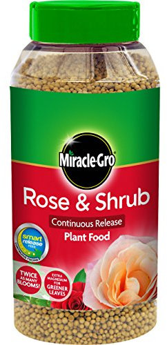 Miracle-Gro Rose & Shrub Continuous Release Plant Food 1 kg