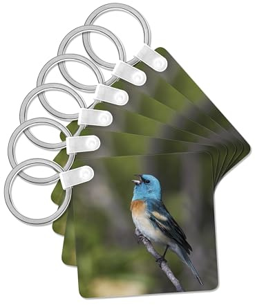 3dRose, Lazuli bunting singing., set of 6 Key Chains