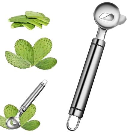Cucchiaio sbucciatore per cactus in acciaio inox, coltello multifunzione per sbucciare cactus, affettare noodles e cucinare
