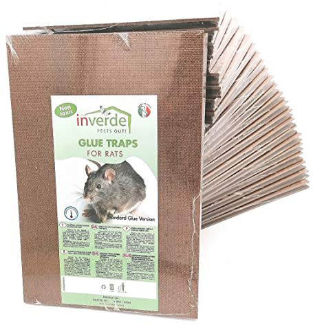 NUISIPRO - Plaques de Glu Anti-Rats et Anti-Souris - Lot de 48 Pièges en Bois Haut de Gamme - Format XXL 28 × 12 cm