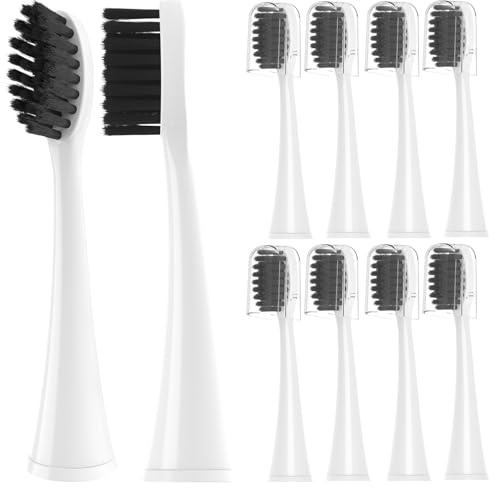 YMPBO Testine per spazzolino da denti compatibili con spazzolino elettrico Burst, [10 testine di ricambio +30 plettri per filo interdentale+1 supporto] per spazzolino da denti Sonic, bianco