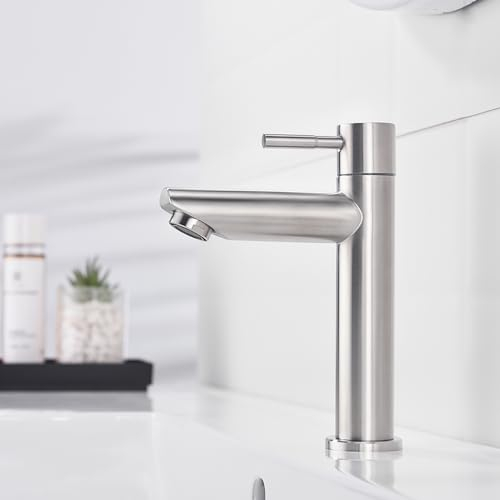 Decaura Grifo de agua fría para invitados, grifo de baño solo agua fría, monomando, grifo de lavabo, acero inoxidable cepillado