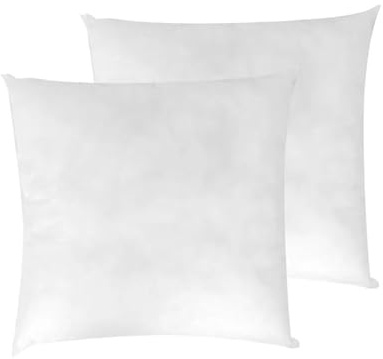 LNT France - Coussins de Garnissage, Ultra Gonflant, Coussin Canapé, Coussin à Recouvrir, Rembourrage Coussins Blanc. (60x60 cm (Lot de 2))