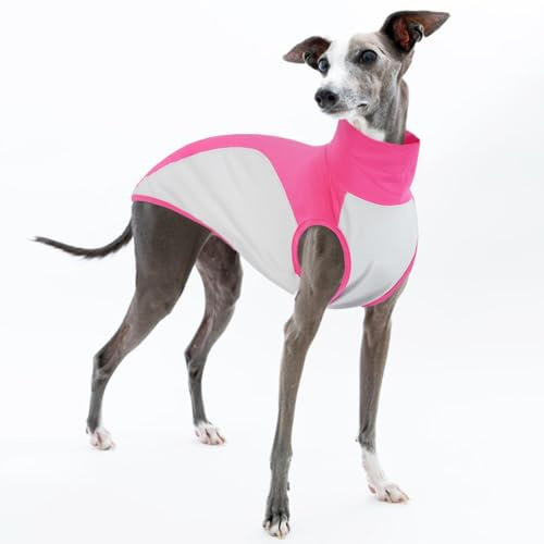 Italienska Greyhound kläder, Coton Whippet hundtröja färgblockerad pyjamas töjbar pullover sweatshirt pojke flicka (rosa, S)