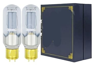 805A-T 805AT Röhre ersetzt 805 805M 805DG 805TA HiFi Audio Röhrenverstärker DIY mit Vier Kanälen(2pcs Matched Pair)