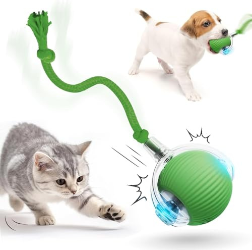HOIDOKLY 2025 Neu Interaktives Katzenballspielzeug, Hundeballspielzeug, Spielzeug für Haustiere Elektrisch mit USB Aufladbar, DREI Arbeitsmodi, 360° Smart Automatic Rolling Pet Ball (Grün)