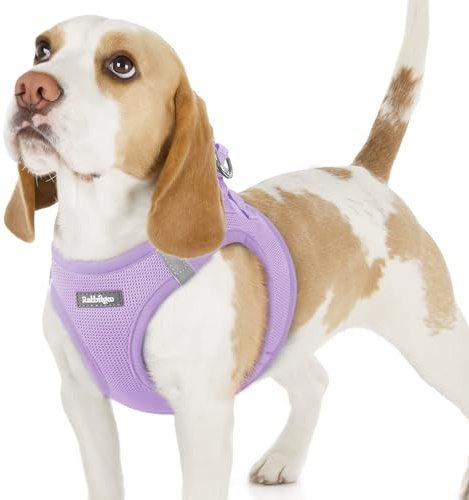 rabbitgoo Harnais Chien Petite Taille, Léger et Respirant, Lilas, M | Harnais Chiot en Maille Souple, Réfléchissant, Réglable, Facile à Mettre, Arnet pour Chien Petit et Moyen, pour Marche Course