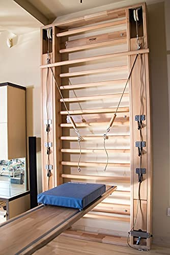 ARTIMEX Multi Sprossenwand Supergym für Gymnastik, Fitness und Physiotherapie - Wird in Heimen, Fitnesscentern oder Kliniken verwendet - aus Buchenholz, 2.4x1.4 m, Artikelnr. 280