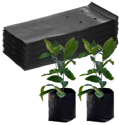 M METERXITY 200-Pack Nursery Growing Bags, 7.9 x 9.8 Thicken Plastic Nursery Bags, Gardening Seed Plant Bags for Potato/Flower/Tomato/Plant Starts/Home Gardening Supplies [Black]