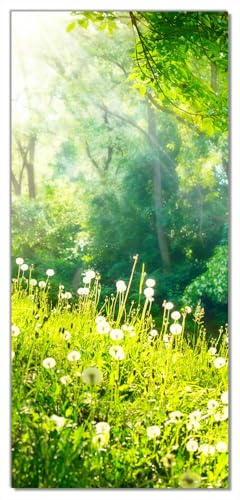 Wallario Selbstklebende Türtapete Pusteblumen im Wald mit einfallenden Sonnenstrahlen - Türposter 100 x 220 cm Abwischbar, rückstandsfrei zu entfernen