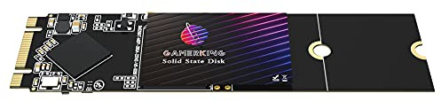 GAMERKING SSD M.2 2280 256GB Ngff internes Solid State Drive 1TB 512gb 128gb 64gb für Desktop-Laptops SATA III 6 Gb/s Hochleistungs Festplatte(256GB, M.2 2280)