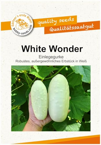Gurkensamen White Wonder Freilandgurke Portion