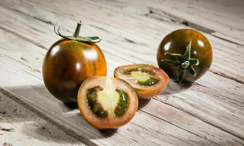 20 SEMI- POMODORO CAMONE SARDO semi freschi