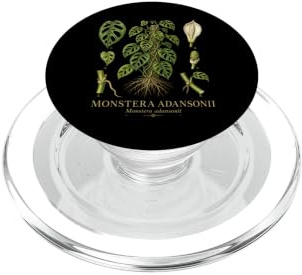 Monstera adansonii Vintage Botanical Anatomy Study PopSockets PopGrip for MagSafe