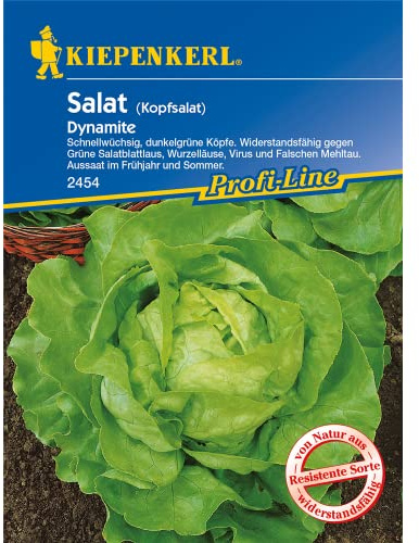Sperli 2454 Gemüsesamen Kopfsalat Dynamite, grün