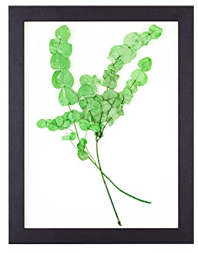 Rahmendesign24 Bilderrahmen Doppelglasrahmen Milano 21x29,7 (DIN A4) Schwarz (matt) Fotorahmen, Wechselrahmen, Doppelglas