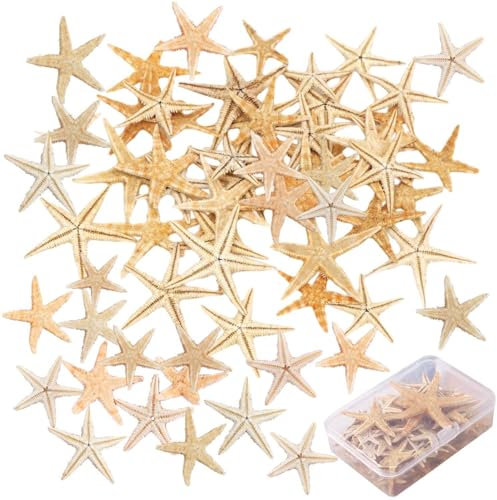 SLAXJNE 50 Pezzi di Stelle Marine Marine Elemento Decorazione Fotografia Oggetti di Scena Decorazioni per La Casa Materiali Artigianali Fai da Te Micro Ornamenti Paesaggistici