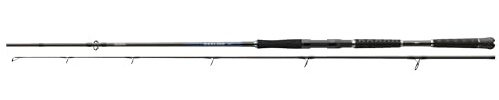 Daiwa Sealine Pilk 2,10m - 2,70m Pilkrute Meeresrute (2,10m / 100-300g)