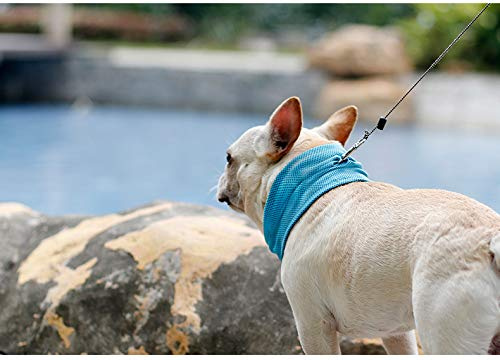 Hifrenchies Instant Cooling Bandana Summer Pet Breathable Scarf Dog Cats Collar Ice Towels for Frenchie Bulldog (L(21.7''x6.3''))