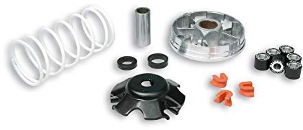 Variateur Gilera Runner SP 50 2T LC 2006-> C451M Malossi - 519019