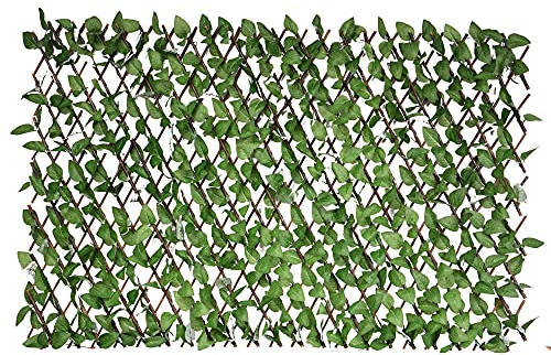 UNUS Griglia per tralicci con foglie, frangivista in legno di salice, regolabile, massimo 100 x 200 cm, per giardino, balcone o terrazza