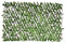 UNUS Rankgitter mit Blättern, Sichtschutz aus Weidenholz, verstellbar, maximal 100 x 200 cm, Rankhilfe für Garten, Balkon oder Terrasse