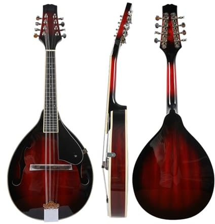 mandolin instrument Professional 8 string electric mandolin suitable for beginners musical instruments