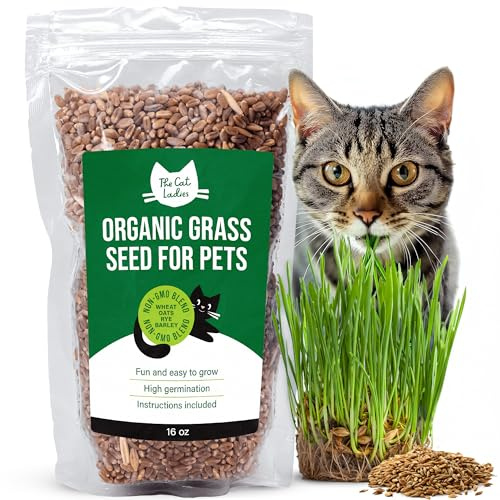 The Cat Ladies 100% Organic Cat Grass Seed (Non GMO) 16Ounce