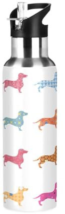 Ksajwzf Color Dogs Dachshund Insulated Water Bottle Stainless Steel Kids Sport Thermos Jug with Straw Lid Animal Puppy Dogs Water Flask Leakproof Thermos Bottle for Bike Running Walking Outdoor 20 Oz