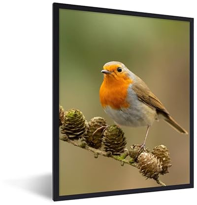 MuchoWow Poster Bilder Wanddeko Deko Wohnzimmer 30x40 cm Vogel - Rotkehlchen - Tannenzapfen - Zweig - Herbst