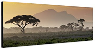 Augenblicke Wandbilder Keilrahmenbild Wandbild 150x50cm Afrika Wiesen Bäume Berge Sonnenuntergang