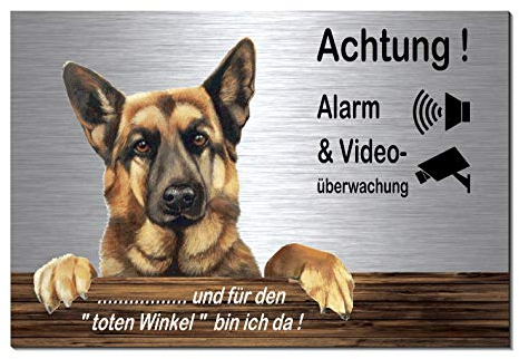 Schäferhund-Alarm + Videoüberwachung-Hund-Schild-Hundeschild-30 x 20 cm-Aluminium Edelstahloptik-Hunde-Tierschild-Warnschild-Hinweisschild (133-22 ohne Löcher)