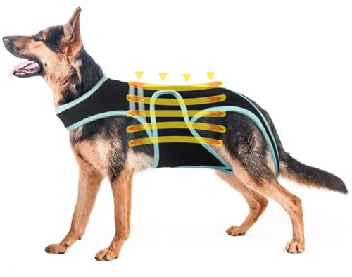 Férula dorsal para perro IVDD, refuerzo dorsal para IVDD, protección de espalda ayuda a aliviar el dolor, recuperación(2XL)