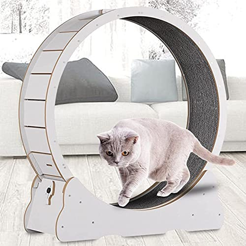 Katzenlaufrad Indoor Laufband für Kleintiere - Fitnessgerät zur Gewichtsreduktion, Katzenlaufrad, Verstellbares Haustierspielzeug