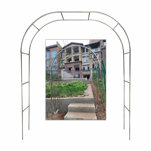Arche de jardin en acier inoxydable, treillis extérieur pour plantes grimpantes, tonnelle de roses et de jasmin, arche d'entrée décorative, 240 x 240 cm, support de glycine