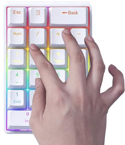 Uonguon Tastierino numerico meccanico – funzionale con cavo, tastiera per computer con design plug-in, tastiera numerica con struttura resistente, accessorio da scrivania, strumento elettronico per