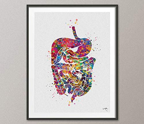 Digestive System Watercolor Print Human Organs Gastrointestinal Tract Clinic Decor Art Student Graduaiton Gift Medical Doctor Art Gift-1048