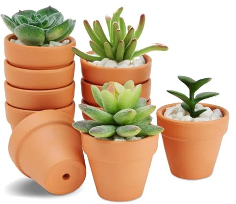 HDKAJL Pot Terre Cuite 10 Pièces, Petit Pot en Terre Cuite 4.8cm de Diamètre Mini Pot de Fleur avec Trou de Drainage pour Suculentes Cactus Intérieur Extérieur Plantes Maison