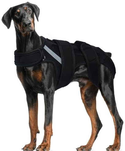 Hjyokuso Hunderückenstütze für Große Hunde Arthritis, Haustier Rückenstütze für IVDD & Hüftschutz, Atmungsaktive Rückenbandage zur Schmerzlinderung, Chirurgische Genesung & Rehabilitation