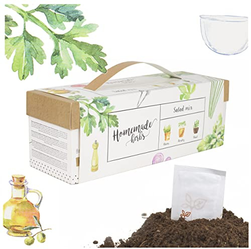 Interflowers Küchenkräuter set - Bio Kräuter Samen & Tee in Geschenkverpackung Anzuchtset Mini Blumenkasten Anzuchtkasten gemüse Saatgut für Hochbeet DIY (Kräuter Salat Mix)