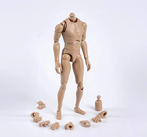 1/6 Skala Männlichen Körper,12inch Männliche Joint Flexibel Muskulöse Soldat Action-Figur Körper Sammlung (Weizenhaut-schmalschultrig)