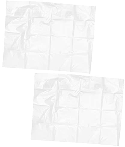 Abaodam 2pièces Housse De Protection Plantes Hiver Anti-Gel Transparent Protection Gel Et pour Arbustes Petits Arbres Et Plantes Pot Installation Facile Effet Isolant